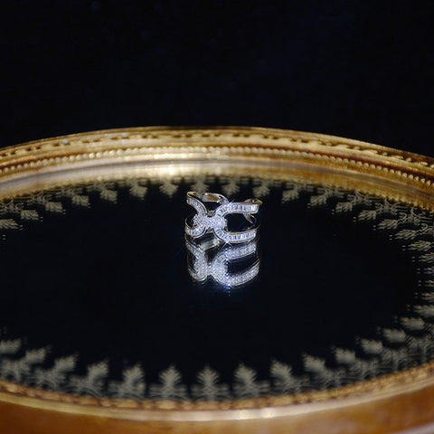 Micro Inlaid Gold Filled Shiny AAA CZ Classic Pave Setting Adjustable Ring